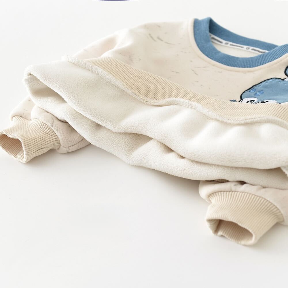 Dino sweatshirt and pants winter premium set