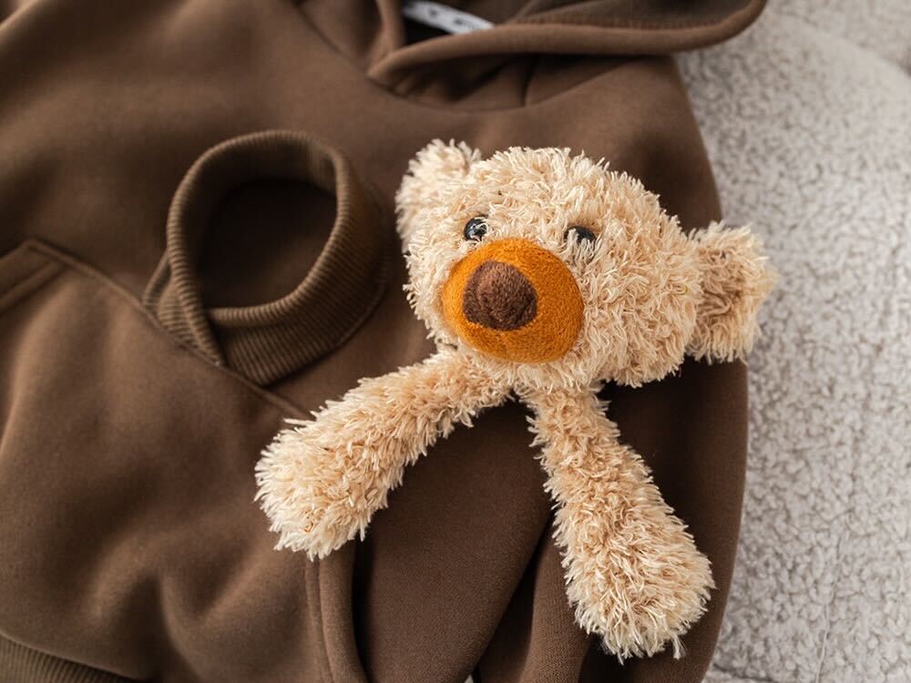 Dog hoodie winter set