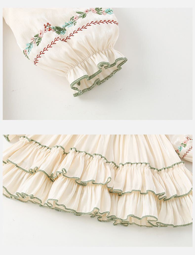 Embroidered lace layered dress