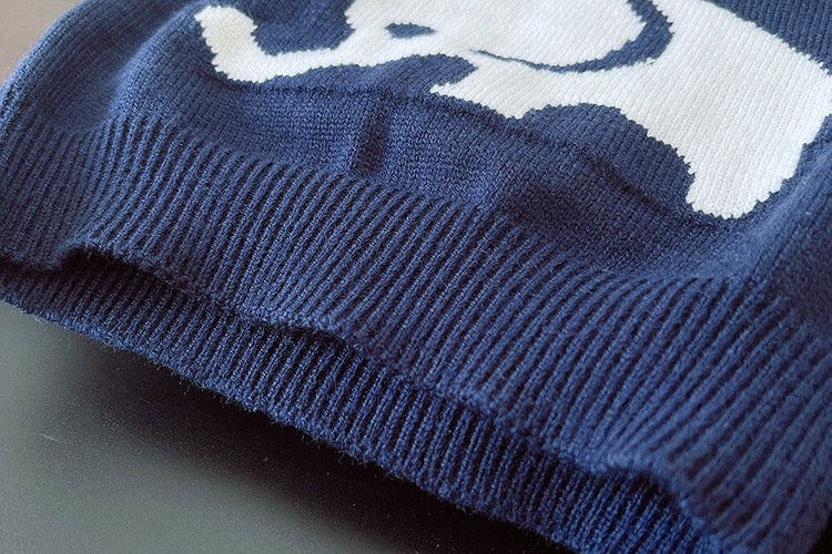 Elephant sweater winter set